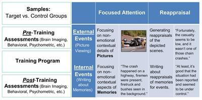 Cultivating Affective Resilience: Proof-of-Principle Evidence of Translational Benefits From a Novel Cognitive-Emotional Training Intervention